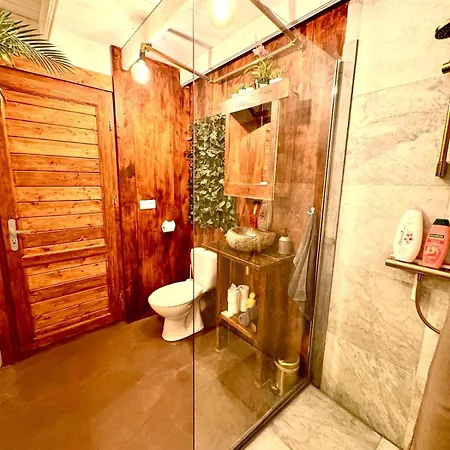 Cozy Wellness And Private Garden With Jacuzzi Sauna And Outdoor Bath Between Amsterdam Haarlem And Schiphol Airport Vijfhuizen