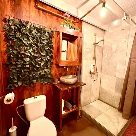 Cozy Wellness And Private Garden With Jacuzzi Sauna And Outdoor Bath Between Amsterdam Haarlem And Schiphol Airport